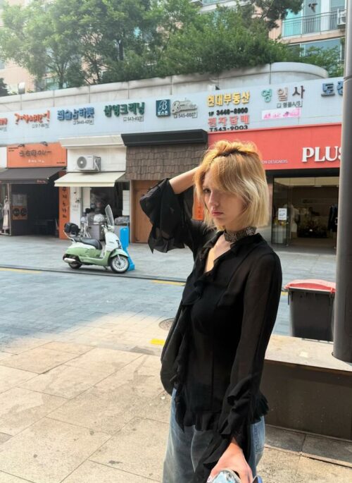 Black Sheer Ruffled Long Sleeve Top | Somi