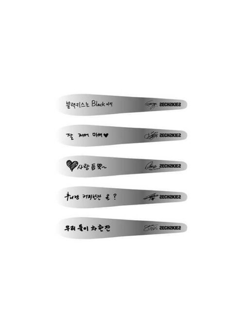 SECHSKIES 20th Anniversary Concert Merch – Teaspoon Set