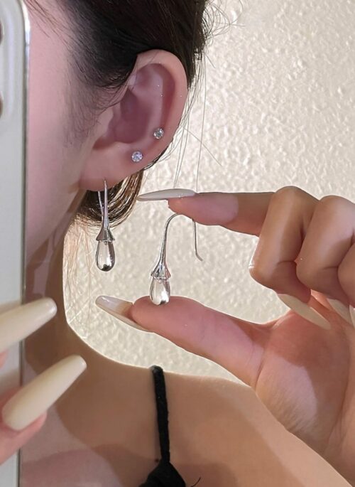 Silver Crystal Drop Hook Earrings | Somi