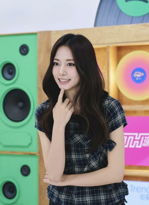 Black Plaid Peter Pan Collar Blouse | Tzuyu - Twice