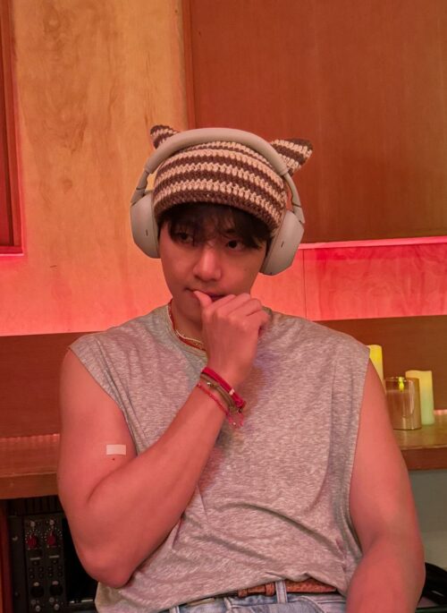 Brown And Beige Stripes Cat Ears Hat | Taehyung - BTS