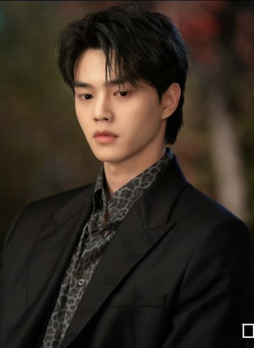 Dark Grey Leopard Pattern Shirt | Jeong Gu Won - My Demon