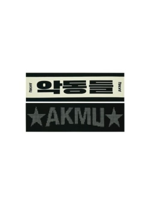 AKMU 