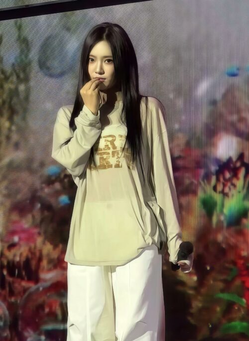 Beige Graphic Long Sleeve T-Shirt | Ningning – Aespa