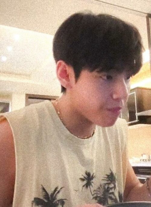 Beige Skeleton Beach Sleeveless T-Shirt | Taehyung – BTS